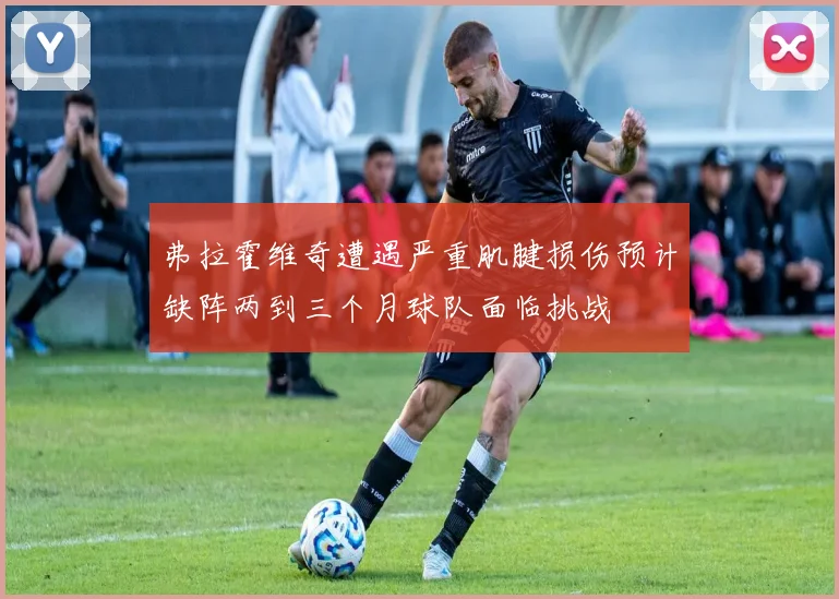 弗拉霍维奇遭遇严重肌腱损伤预计缺阵两到三个月球队面临挑战